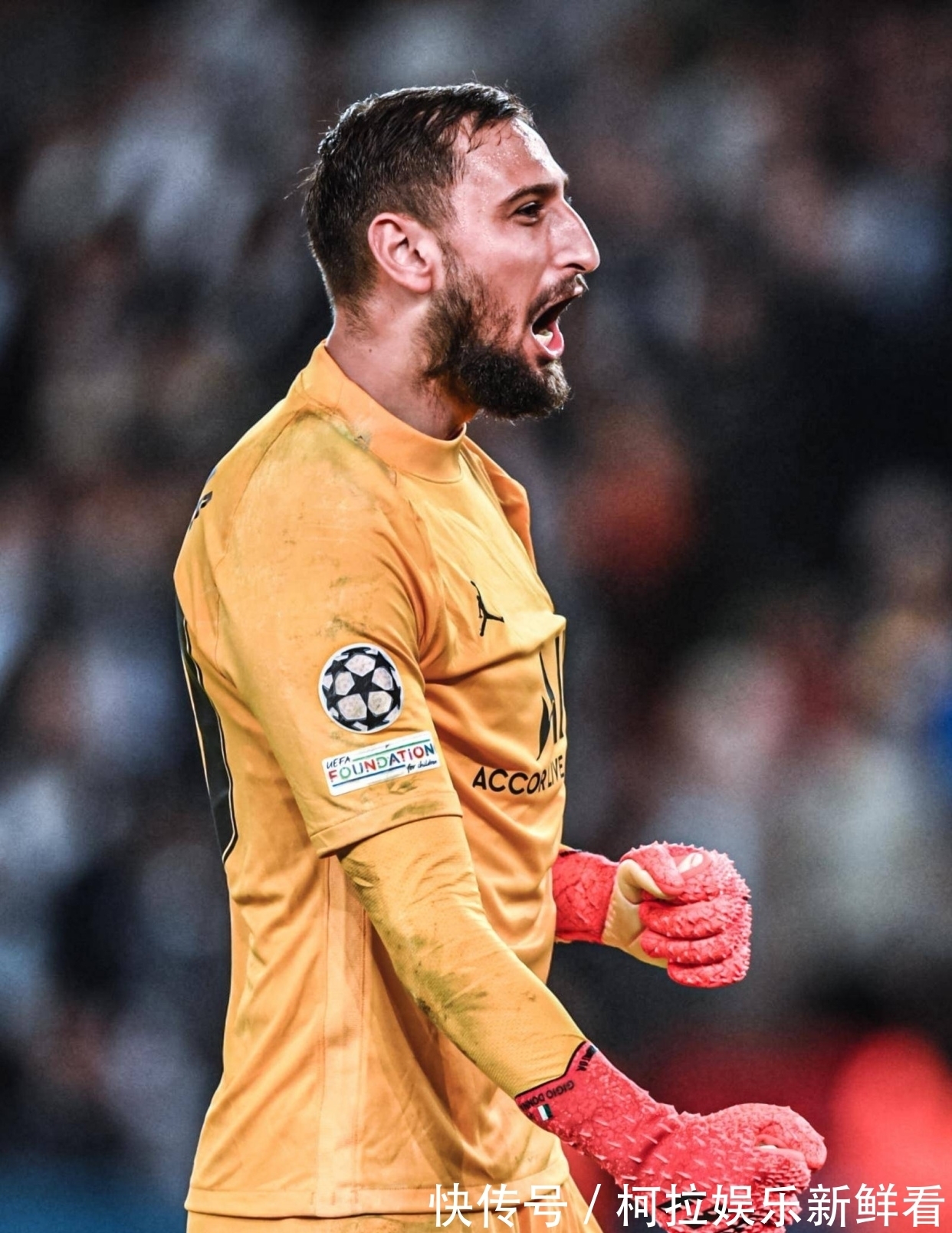 新能源电池盒视觉检测机